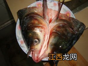 鼻咽癌可以吃鱼吗 鼻咽癌能吃什么食物好