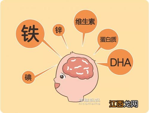 吃什么对胎儿大脑发育好 吃什么可以补充胎儿大脑发育