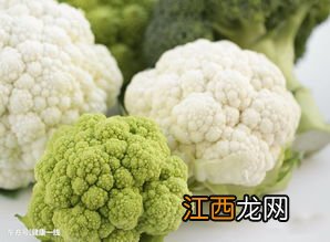 菜花的营养成分 蘑菇的营养价值及功效