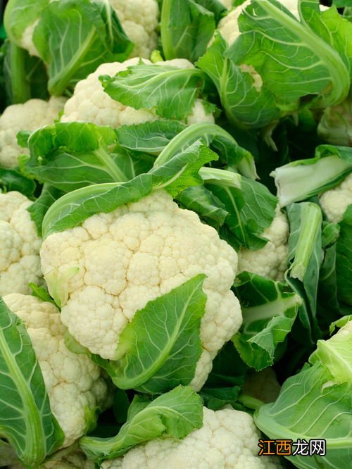 花菜和什么一起炒好吃 花菜和什么菜搭配有营养