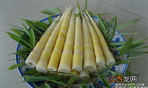 竹笋怎么做法? 竹笋的烹饪方法