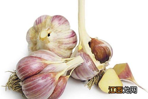 长得像大蒜是什么东西 蒜苔是从蒜里面长出来的吗