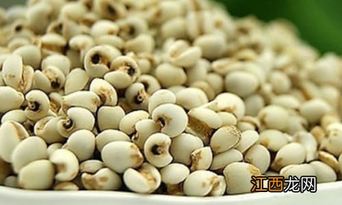 薏米的禁忌人群 薏米的功效与作用禁忌