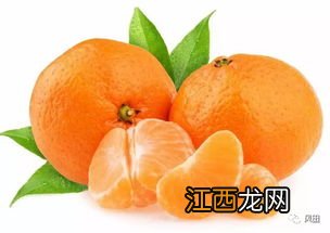 橘子香蕉葡萄可以一起吃吗 橘子忌与什么同食