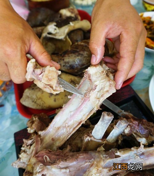 海蜇头的功效与作用 海蜇头很硬是不是真的海蜇头