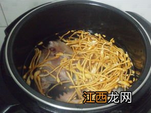 虫草鸡汤的做法 虫草花鸡汤怎么炖好喝又营养