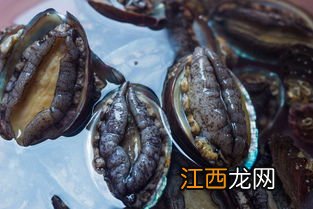 鲍鱼肉边黑色那部分能吃吗 鲍鱼上的黑色用不用洗掉