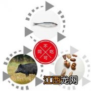 鲍鱼不能和什么水果一起吃 鲍鱼与什么不能同时吃