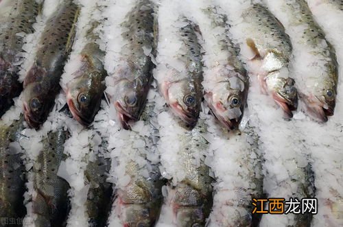 为什么不能吃黄鳝 吃黄鳝的危害