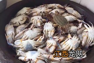 一月份吃什么海鲜 冬天的海鲜