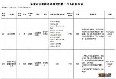 2021东莞南城街道招聘11名工作人员