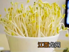 怎么生黄豆芽最快 如何快速生黄豆芽