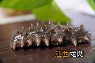 煮海参用什么材质的锅 发好的海参用什么锅煮