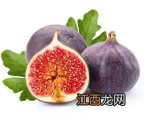 新鲜无花果煲什么好 润肺化痰无花果汤