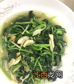 菠菜跟什么不能一起吃 菠菜不能和什么一起吃?