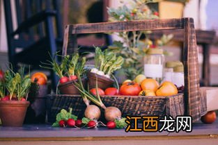 你也配吃橘子 橘子与什么食物不是相互适宜