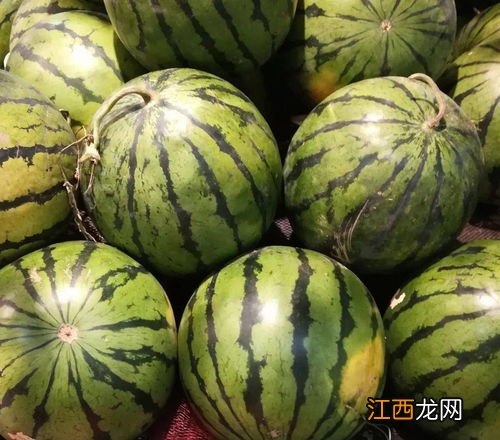 西瓜皮的功效与作用及禁忌 西瓜皮的作用与功效及食用方法