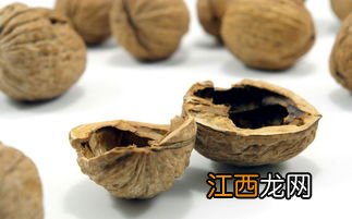 枳壳的功效与作用 核桃青皮的功效与作用及禁忌