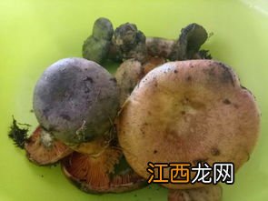 姜和大蒜熬水的功效 姜加大蒜煮水功效