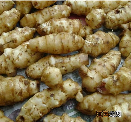 洋姜用水泡发黑是啥原因 洋姜怎么腌制不黑视频