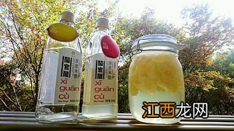 20种水果醋的做法 苹果醋炒菜怎么用