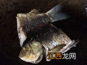 鲫鱼汤里放什么菜好吃 鲫鱼汤加什么菜好吃有营养