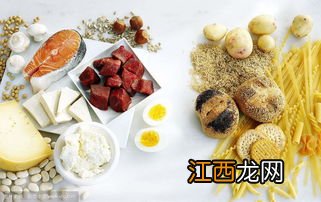 高热量高蛋白的食物有哪些 什么食物含蛋白质含量最多