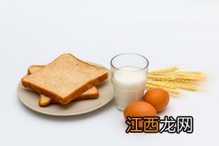 高热量高蛋白的食物有哪些 什么食物含蛋白质含量最多