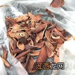 海龙和海马煲鸡汤做法 巴戟海龙猪瘦肉汤