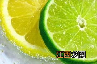 柠檬可以作奶酪么 如何用柠檬做奶酪