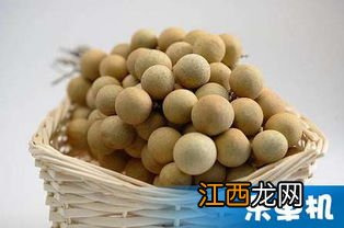 龙眼可以冷冻储藏吗 如何冰箱保鲜龙眼