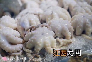 章鱼的营养与功效及副作用 小白章鱼功效与作用