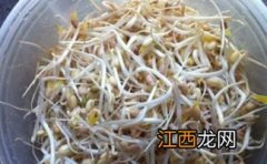 怎么用沙子种豆芽最简单做法 如何用沙子发豆芽