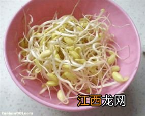 怎么用沙子种豆芽最简单做法 如何用沙子发豆芽