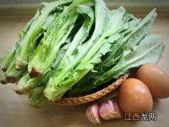 苣荬菜是苦菜吗 云南凤尾菜