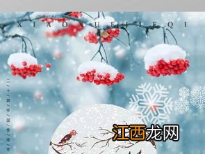 小雪节气吃什么传统食物最好 小雪节气吃什么传统食物最好