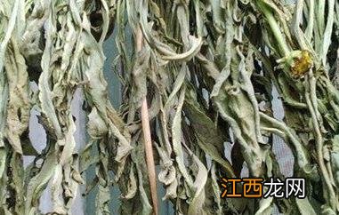 蒲公英婆婆丁茶的功效与作用 婆婆丁茶的功效与作用