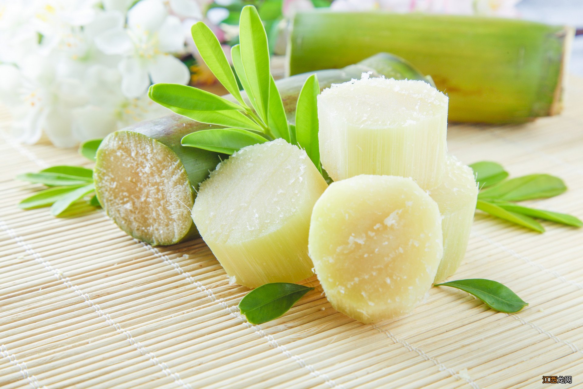 甘蔗的功效与作用是什么