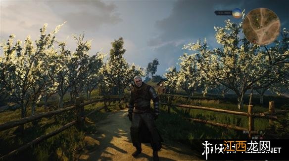 《巫师3:狂猎》各学派极品套装图鉴汇总 半果体