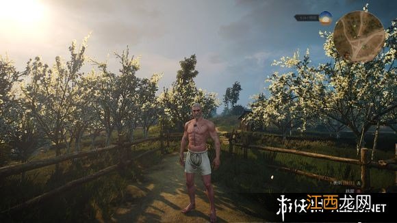 《巫师3:狂猎》各学派极品套装图鉴汇总 半果体