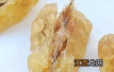 雪蛤酒的功效与作用及副作用 雪蛤酒的功效与作用及副作用禁忌