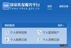 郴州城乡居民医保网页查询方式 郴州城乡居民医疗保险查询