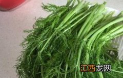 小茴香菜怎么做好吃 小茴香菜怎么做好吃又简单