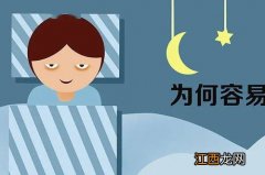 熬夜的人应该多吃什么 经常熬夜的人吃什么比较好