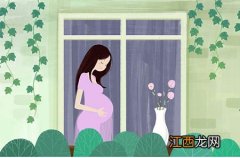 【产妇牛腩的做法大全】产妇吃牛腩怎么做产妇吃牛腩怎么做法