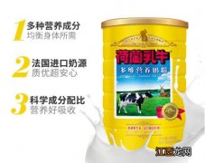 荷兰乳牛多维营养奶粉好不好