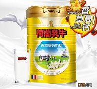 荷兰乳牛香草高钙奶粉糖尿病人可以喝吗