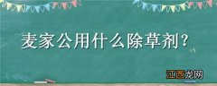 麦家公用什么除草剂好用 麦家公用什么药防治