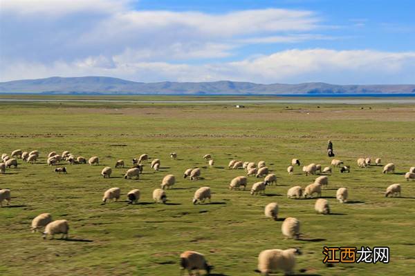 名门贵族欧乐仕怎么样 一款没有膻味的好羊奶粉