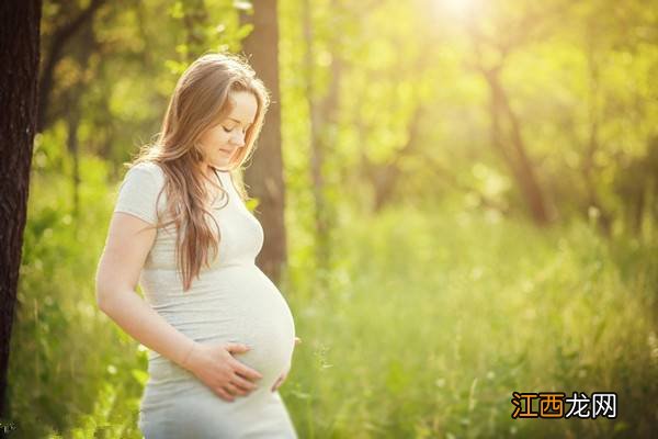 惠氏启韵孕妇奶粉怎么样 众多孕妈妈的放心品牌